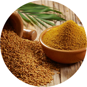 Fenugreek Extract