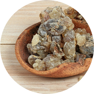 Guggul Extract