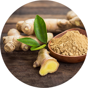 Ginger extract