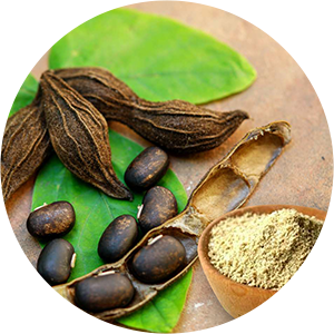 Mucuna Extract