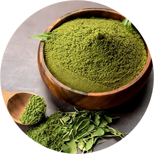 Bacopa Extract Powder